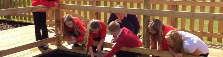 West Town Lane Academy - Wildlife Area